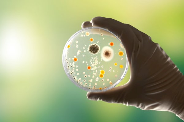 „Ocena czystości mikrobiologicznej instalacji przemysłowych” – artykuł dr inż. Małgorzaty Niziurskiej oraz mgr inż. Barbary Chruściel